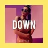 Chart track