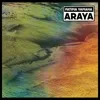 Chart track