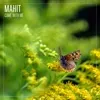 Chart track