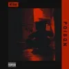 Chart track