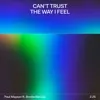 Chart track