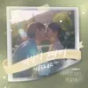 Chart track