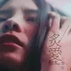 Chart track